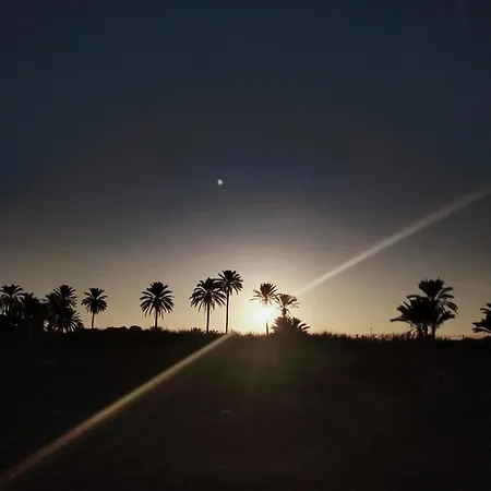 Palm House * Torrevieja