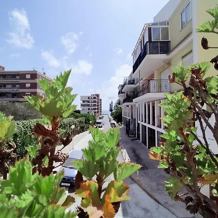 Apartment Palm House *