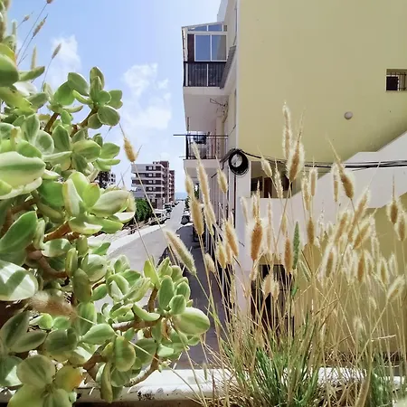 Palm House Apartment *