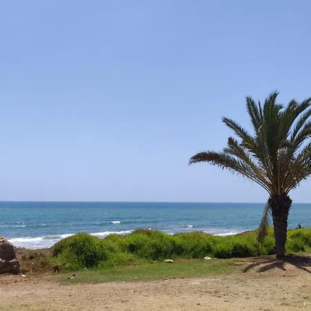 Palm House Apartment Torrevieja
