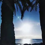 아파트 Palm House