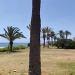 아파트 Palm House 또레비에하