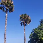 Palm House 아파트