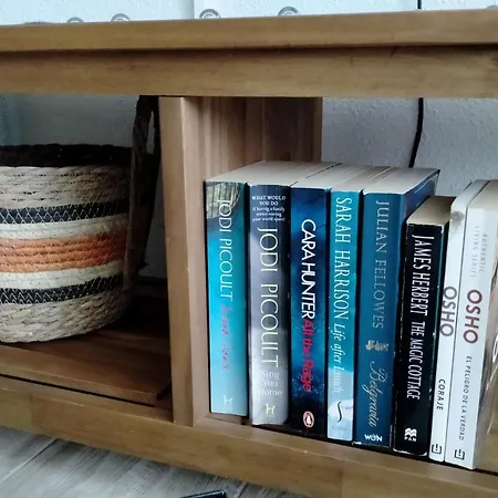 公寓 Palm House 托雷维耶哈