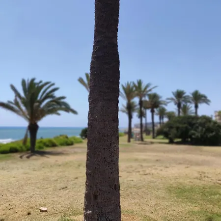 Apartamento Palm House Torrevieja
