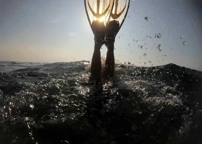 Palm House * 托雷维耶哈