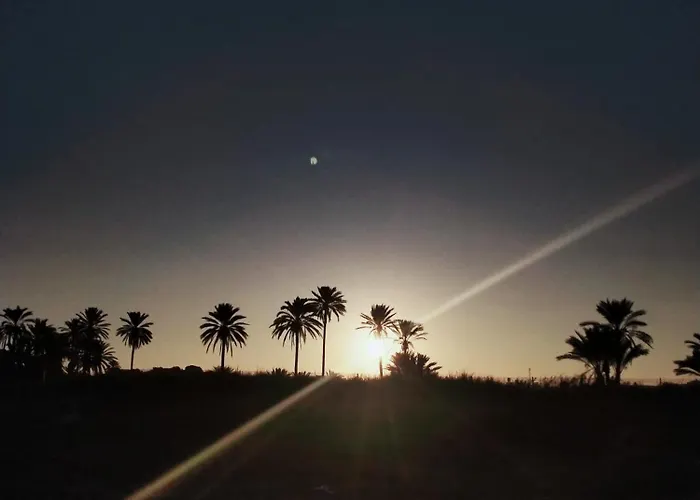 Palm House * 托雷维耶哈