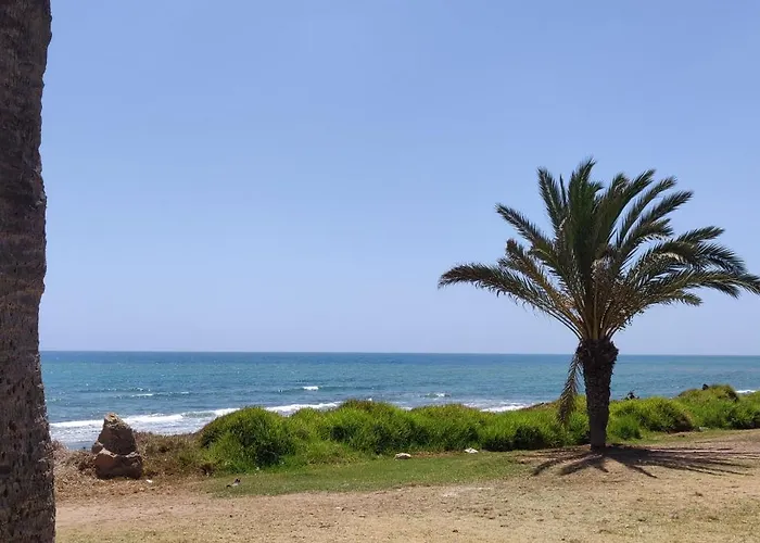 Palm House 公寓 托雷维耶哈