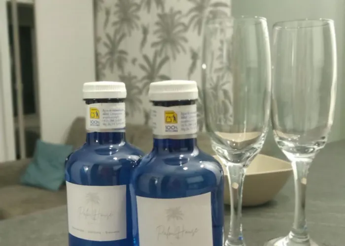 Palm House * 托雷维耶哈