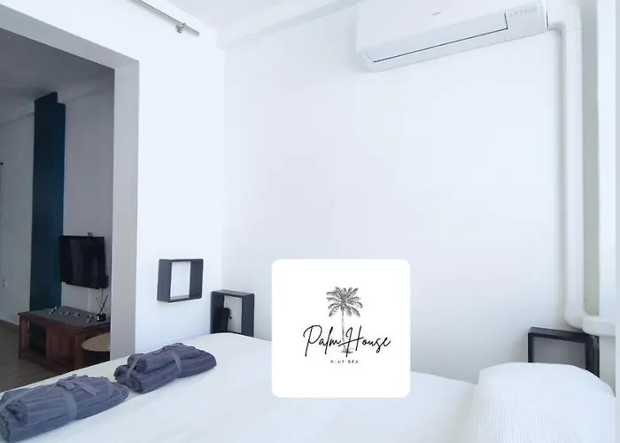 Palm House 公寓 托雷维耶哈