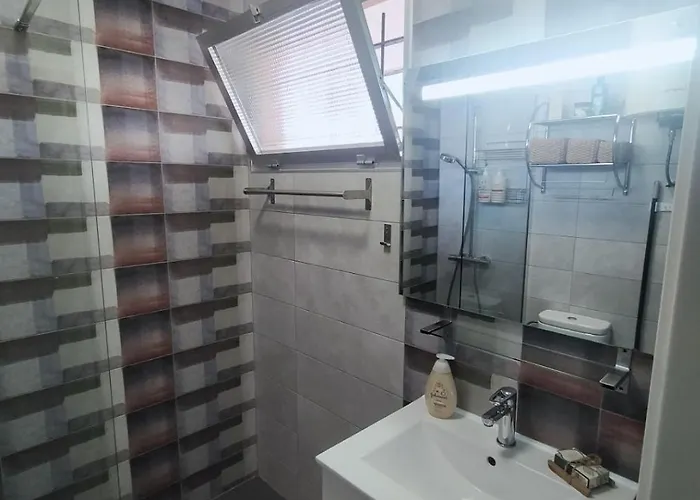 Palm House 公寓 托雷维耶哈