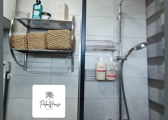 Palm House 托雷维耶哈